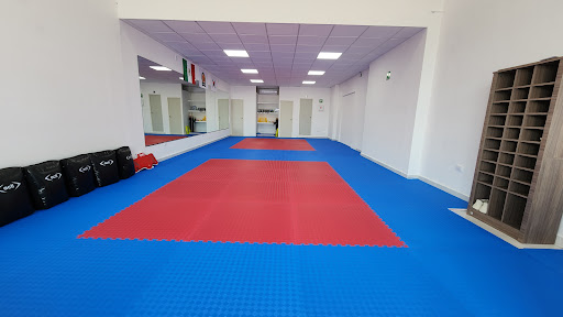 IL SHIM TAEKWONDO CANCÚN