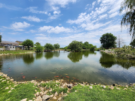 Dougherty Orchards - Visual
