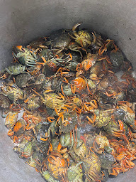 Photo n°51 de Ô tour de la table à Nébian (Bar à vin)