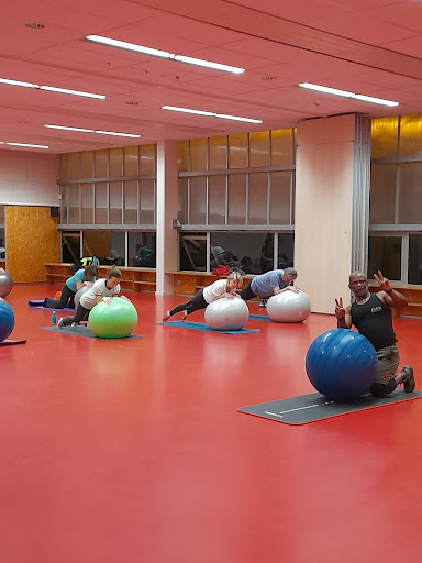 Essagym - Visual