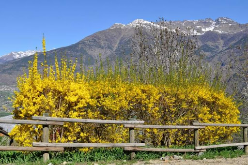 Comune di Brissogne
