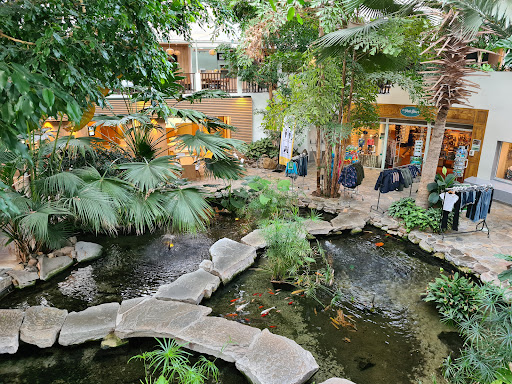 Photo de Center Parcs Les Hauts de Bruyères à Chaumont-sur-Tharonne (41600)