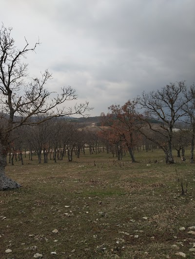 Kurudere Kamp Ve Piknik Alanı