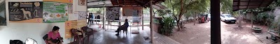 Photos of FOUR PAWS ANIMAL HOSPITAL