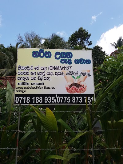 Photos of Haritha Uyana Nursery