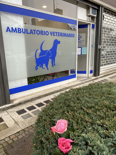 ambulatorio veterinario DON BOSCO - Thumbnail