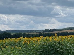 Photo n°49 de LES TEMPLIERS - CHAMBRES D’HOTES ET SALLES DE RECEPTION à Rugney (Espace événementiel)