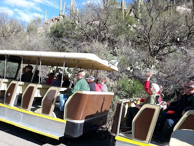 Photos of Sabino Canyon Tours