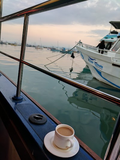 Photos of Whale Watching Club
