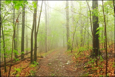 Betsy Bell Wilderness Park