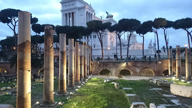 Fori Imperiali