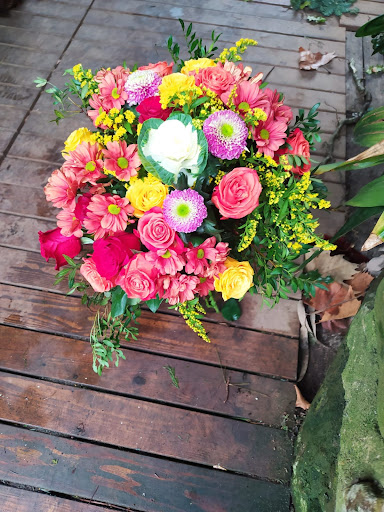 Markina Floristas - Thumbnail