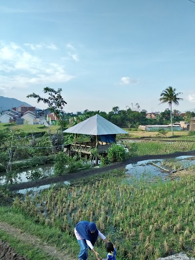 Photos of Griya Pamoyanan 2 arrowroot