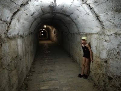 The cold war tunnel