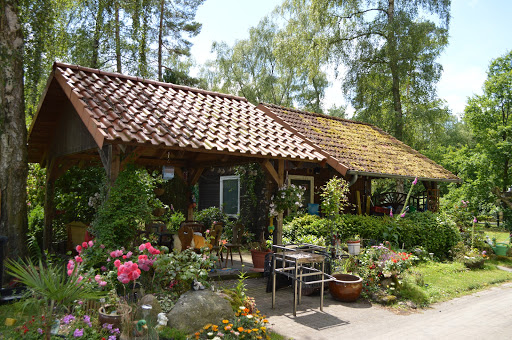 Campingplatz Waldhaus Allertal - Thumbnail