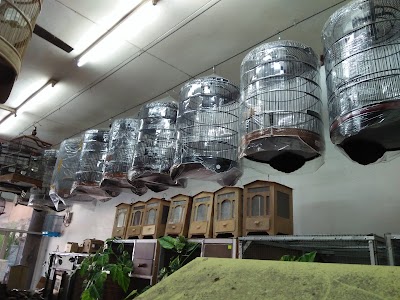 Photos of toko burung pa masto seroja