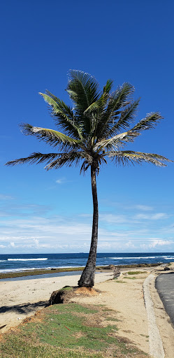 Parque Pasivo Urb Mar Azul - Thumbnail
