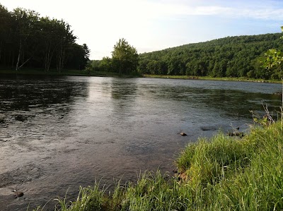 Photos of Sylvania Tree Farm