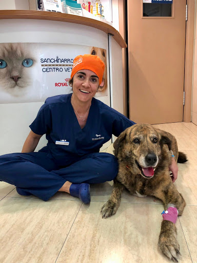 Clínica - Hospital Veterinario Caservet Sanchinarro