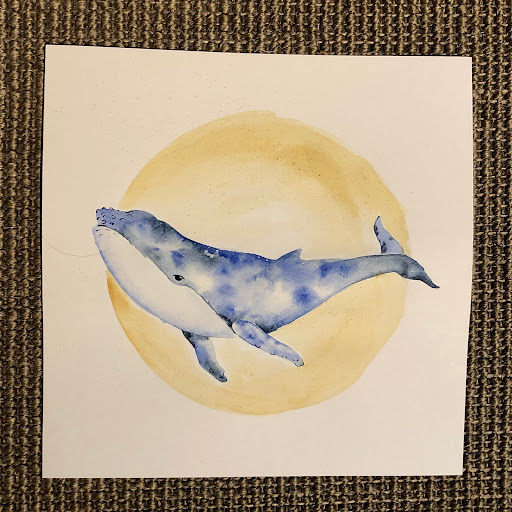 Minicoque - Visual