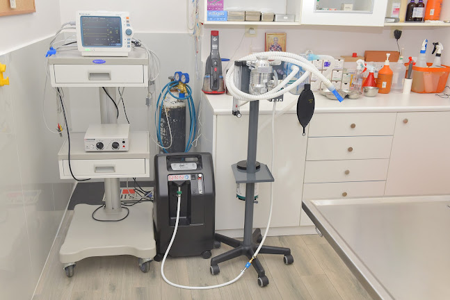 Comentarii opinii despre Κτηνιατρείο Μικρών ζώων Σαράπης Βασίλειος