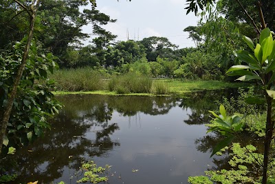 Photos of Muradpur Prodaniabari