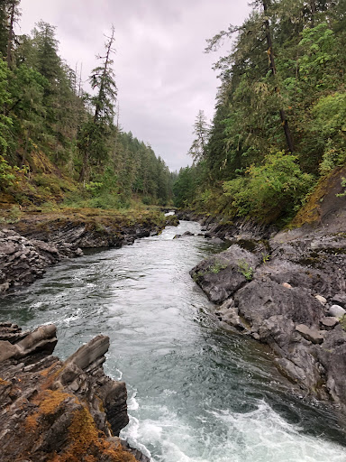 Cowichan River Provincial Park