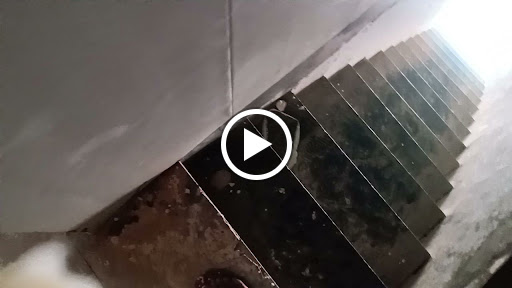 ​"Turn your house into a dream home! ✨ At Dilbar POP False Ceiling Contractor, we specialize in c… post image