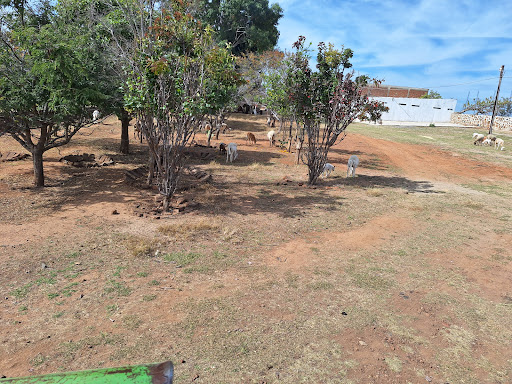 Rancho Juan Jose