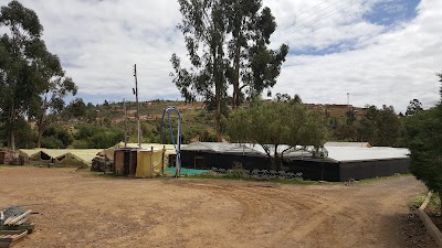 Photos of VIVERO MUNICIPAL DE LA CIUDAD DE SUCRE