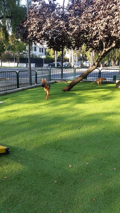 Photos of Canino Park