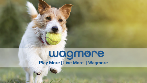 Wagmore - Visual