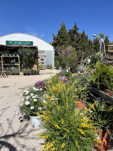 GARDEN EL MOLA - Spain