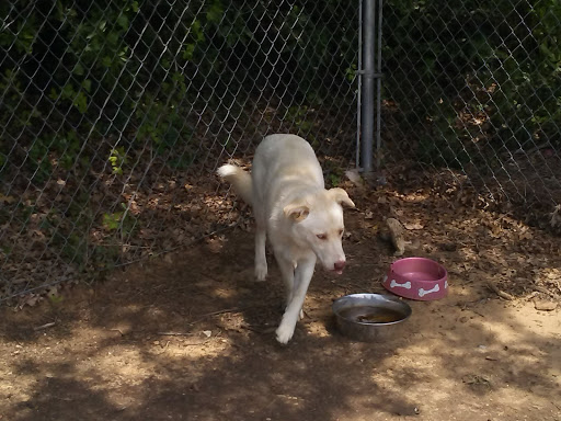 Ardmore Animal Care Inc Gallery - United States