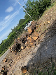 Photo n°16 de Espace Vers à Dordives (Service d'élagage)