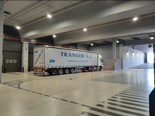 TransIbi - Thumbnail