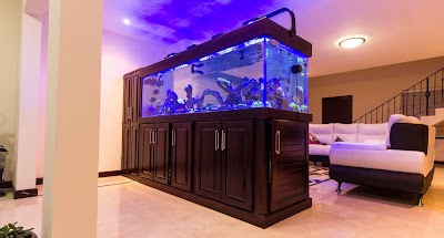 Photos of Su Acuario Marino