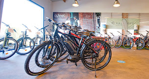 Photo n°15 de VELOZEN GUERANDE velo electrique à Guérande (Magasin de vélos)