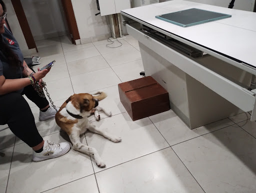 Veterinaria B&G Animal Care