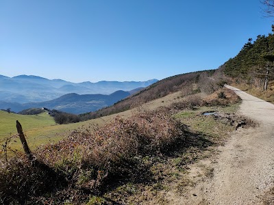 Monte Pietroso