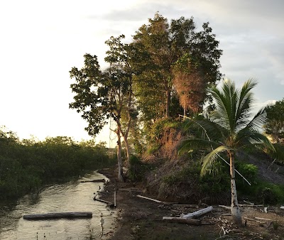 Photos of Ecomanglar Ecotours