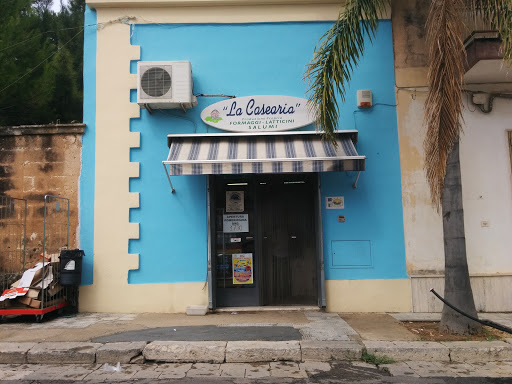 La Casearia - Visual