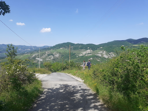 Scacciapensieri - Visual