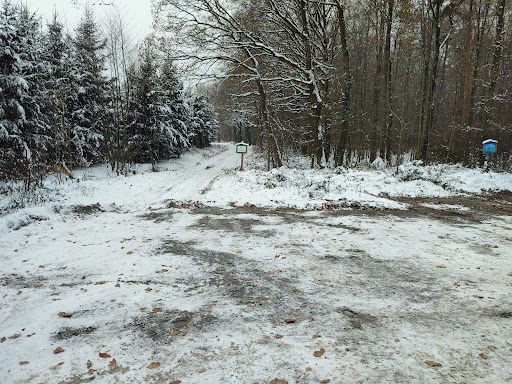Parkplatz/Holzlagerstelle am Zellwald