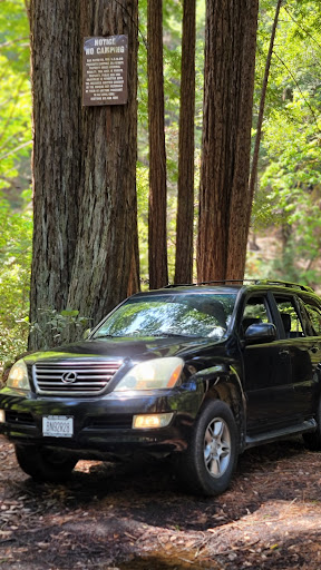 Pacific Bay Auto, Inc. - Thumbnail