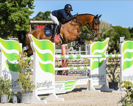 Russell Equine Sports Medicine - Thumbnail