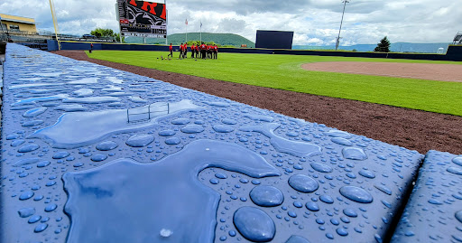 Medlar Field - Thumbnail