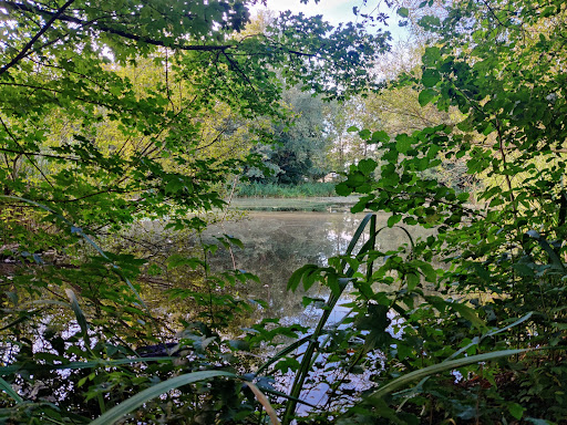 Heemtuin 'De Dwarsgouw' - Thumbnail