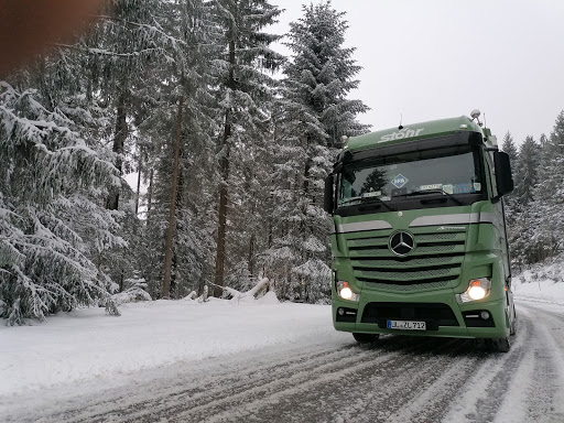 Vogelskopf - Thumbnail