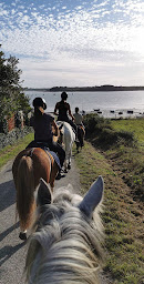 Photo n°11 de Centre Équestre Mané Guernehué à Baden Golfe du Morbihan 56 à Baden (Club d'équitation)